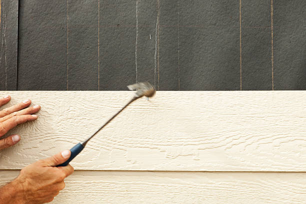 Best Insulated Siding Installation  in Bemiss, GA